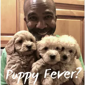 Puppy fever?