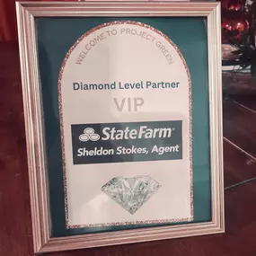 Team Stokes was a Diamond Level Partner for Project Green: Money & Business Summit