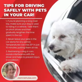 Happy National Pet Insurance Day! When taking your dog in the car, keep them safe and secure with these tips. Unrestrained pets can be distracting and risky. In case of an accident, they could get hurt, lost, or worse. Make sure your car and pets are covered by our insurance policies! Contact us today!