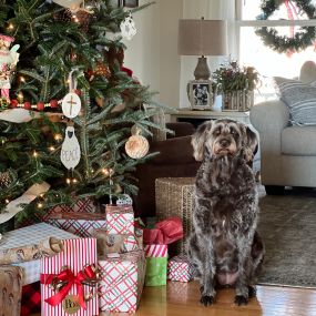 Despite her very grinchy face, Ellie is excited for Christmas!