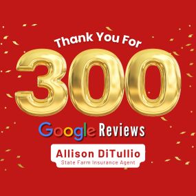 Thank you all for 300 Google reviews!