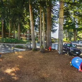 Bild von Maplewood Park