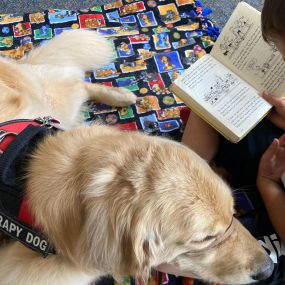 Our office dog, Augie the Therapy Doggie, makes house calls as well as school calls. This week, he visited Morris Elementary School to listen to students read him some great books.