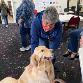 Augie the Therapy Doggie, our very own office dog, visited Gaining Ground in Eureka today. Lots of love was shared.