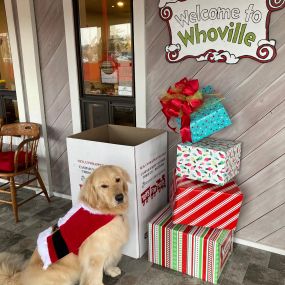 Toys For Tots is here! We are proud to be one of several drop-off locations for new, unwrapped toys. Augie the Therapy Doggie loves his toys and wants to make sure all the good boys and girls have a favorite toy too. Help us help others!