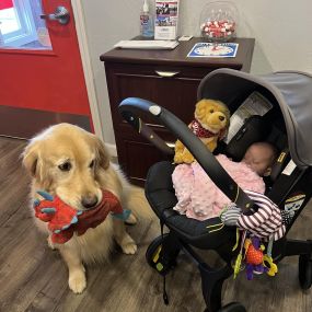 Little Miss Lenore came in for a visit today! Our office grand-baby is 7 lbs now. Augie wanted to share his dinosaur.