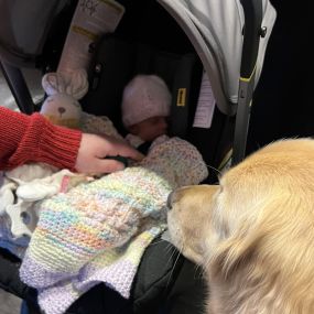 It was a good day at Heather Vina State Farm. Our State Farm Family all got together to celebrate five years! Including the newest edition to our office family. Lenore is Augie approved. We all love having the opportunity to help our community protect what is important to them.