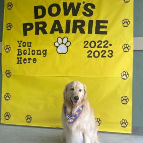 For the first day of school, Augie, the Therapy Doggie, wanted to join in the fun. He and the team at Heather Vina State Farm wish all the little humans, the teacher humans, and the parent humans a great new school year with lots of learning and friendship. We would also like to remind the automobile humans to keep alert and watch for all the little humans as they make their way to the classrooms.