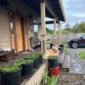 It’s flower pot time! With all the nasty weather we have been having, we are a little behind. That’s okay. We will have them hanging in front of the office in no time, and they will be as beautiful as ever!