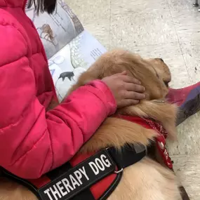 Happy Read Across America Day! We love reading and helping to make books available to local students. Augie the Therapy Doggie likes to listen to his friends read to him.