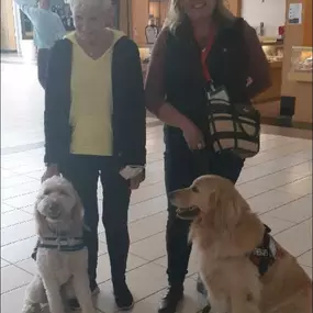 Augie the Therapy Doggie was giving Kenny some pointers on how to be a great therapy dog today. Kenny is in training and looking forward to getting certified soon!