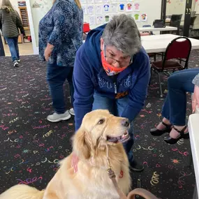 Augie the Therapy Doggie, our very own office dog, visited Gaining Ground in Eureka today. Lots of love was shared.