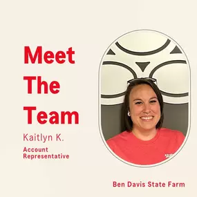 Meet the team -