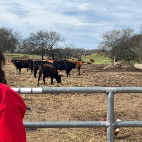 Where fields meet policies. As an insurance agent specializing in farm and ranch coverage, I immerse myself in the land.