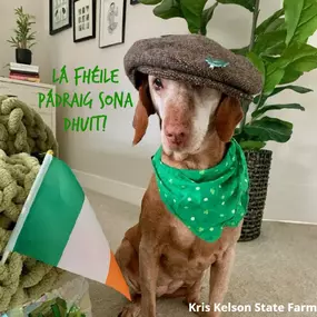 Lá fhéile Pádraig sona dhuit! Happy Furbaby FriYAY! Today's theme is St.Patrick's Day, and Mara and Teddy have dressed snazzy for the occasion! Wishing you a safe and fun St. Patrick's Day celebration this weekend!