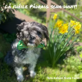 Lá fhéile Pádraig sona dhuit! Happy Furbaby FriYAY! Today's theme is St.Patrick's Day, and Mara and Teddy have dressed snazzy for the occasion! Wishing you a safe and fun St. Patrick's Day celebration this weekend!