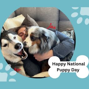 Help us wish a Happy National Puppy Day to all of Jim Gardner’s State Farm doggos! Buster, Baxter, Jax, and the mighty Titan, the hardest workers we have!