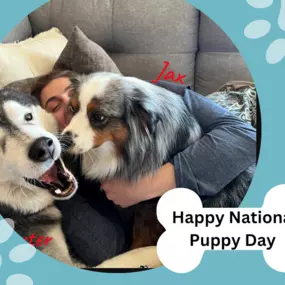 Help us wish a Happy National Puppy Day to all of Jim Gardner’s State Farm doggos! Buster, Baxter, Jax, and the mighty Titan, the hardest workers we have!