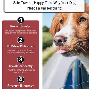 Your furry co-pilot deserves a safe ride every time. Car restraints aren’t just about preventing distractions—they’re about ensuring your pup stays secure during every adventure.