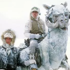 This weather has us feeling like Han and Luke!