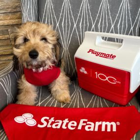 Christopher Tighe - State Farm Insurance Agent