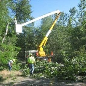 Bild von Nationwide Tree Service