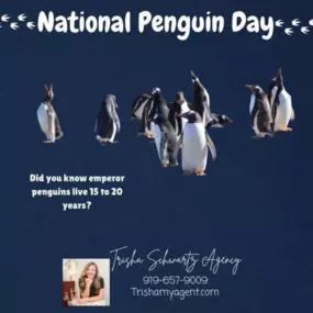 National Penguin Day