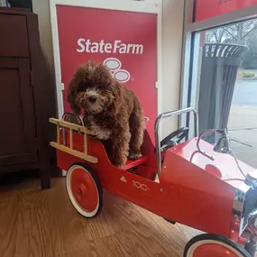 Ellie is part of the family, and so is your pet. Ask us about pet insurance in Holly Springs today.