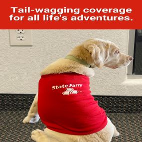 Kevin Sevier - State Farm Insurance Agent