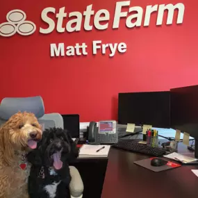 Matt Frye - State Farm Insurance Agent