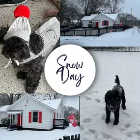 Happy snow day!

Please enjoy today but also be SAFE.
We will be enjoying the snow as we work from home!

Would love to see what you’ve been up to today!