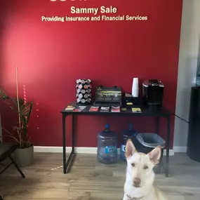 Sammy Saie - State Farm Insurance Agent