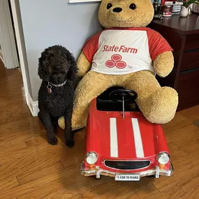 At Huddyfarm, we love having Dixie Hudson welcome our clients. Being nine years old, she tends to rest a lot after lunch. Stop by and see her. She would love some Scooby snacks!