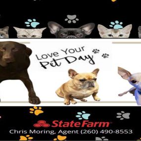 We love our pets!- Give us a call today to get your fur baby some insurance! 260-490-8553