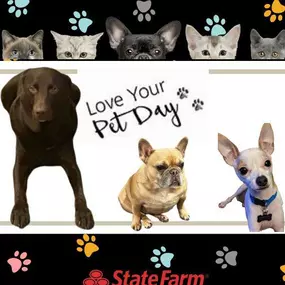 We love our pets!- Give us a call today to get your fur baby some insurance! 260-490-8553