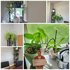 It might be chilly outside, but it's warm and tropical here in the office. Come see us for a quote and a touch of spring!