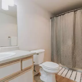 Bild von Forest Hills