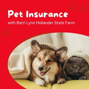 If you are considering getting a new furry family member this season. Don’t forget to contact Barri Hollander State Farm to get them protected with pet insurance.