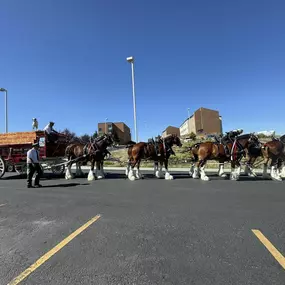 We had a blast at the Liberty Parade!