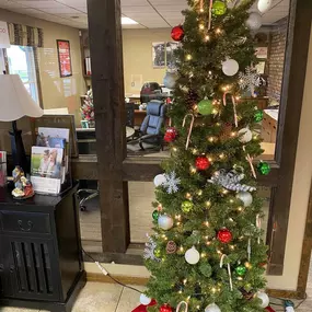 We decorated the office for Christmas today!!