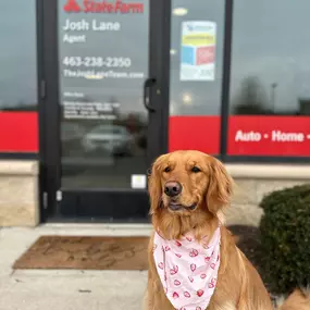 Why was the strawberry so sad? It was in a JAM! ????
Our office pup Rosie is channeling all the spring vibes with her strawberry bandana. Rosie says if you're in a jam with your current insurance policies, then you need to shoot her an email to get a free State Farm Personal Price Plan - Rosie@TheJoshLaneTeam.com