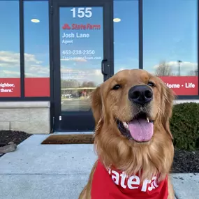 It's hard not to have a smile on your face when you're insured with Josh Lane State Farm! ???????? Our office pup Rosie loves meeting customers. Let us help you make the switch- and we'll set up a time to have you into our office to meet the team. (Rosie included!!)