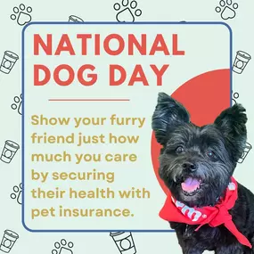 On National Dog Day, we honor the loyal companions who fill our lives with joy and love. Let’s take a moment to appreciate the tail wags, wet noses, and endless affection they give us. Here’s to our four-legged friends who make every day brighter!