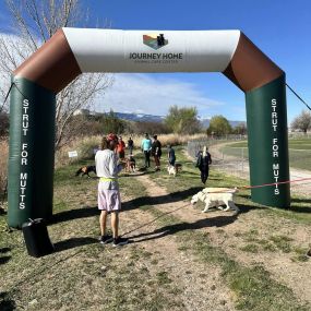 We had a great time at Journey Home Animal Shelter Strut Your Mutts 5k run! Thanks to AndiMarie Professional Photography, every pup could get a professional photo for free! We were glad to be able to sponsor all of the pup photos!