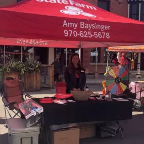 Amy Baysinger - State Farm Insurance Agent