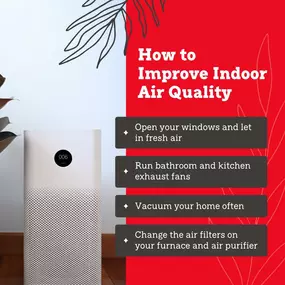 Indoor air pollution impacts our health and well-being. By taking these simple yet effective steps, we can create a home environment that supports our health and the well-being of our loved ones.