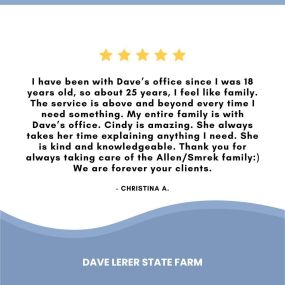 Dave Lerer - State Farm Insurance Agent