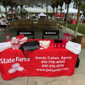 Sandy Cohen - State Farm Insurance Agent