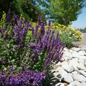 Bluffs Regional Park