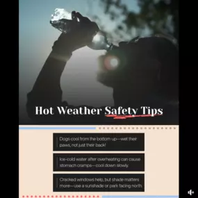 With high temperatures expected in the area, it’s important to take precautions to stay safe during the heat. Stay hydrated throughout the day, limit outdoor activities during peak hours, and never leave children or pets in a parked car. If you work outside, take regular breaks in the shade or indoors when possible. Keep an eye on local alerts for any updates, and check in on neighbors who may be more vulnerable to the heat. If you have questions about how your coverage responds to extreme weath